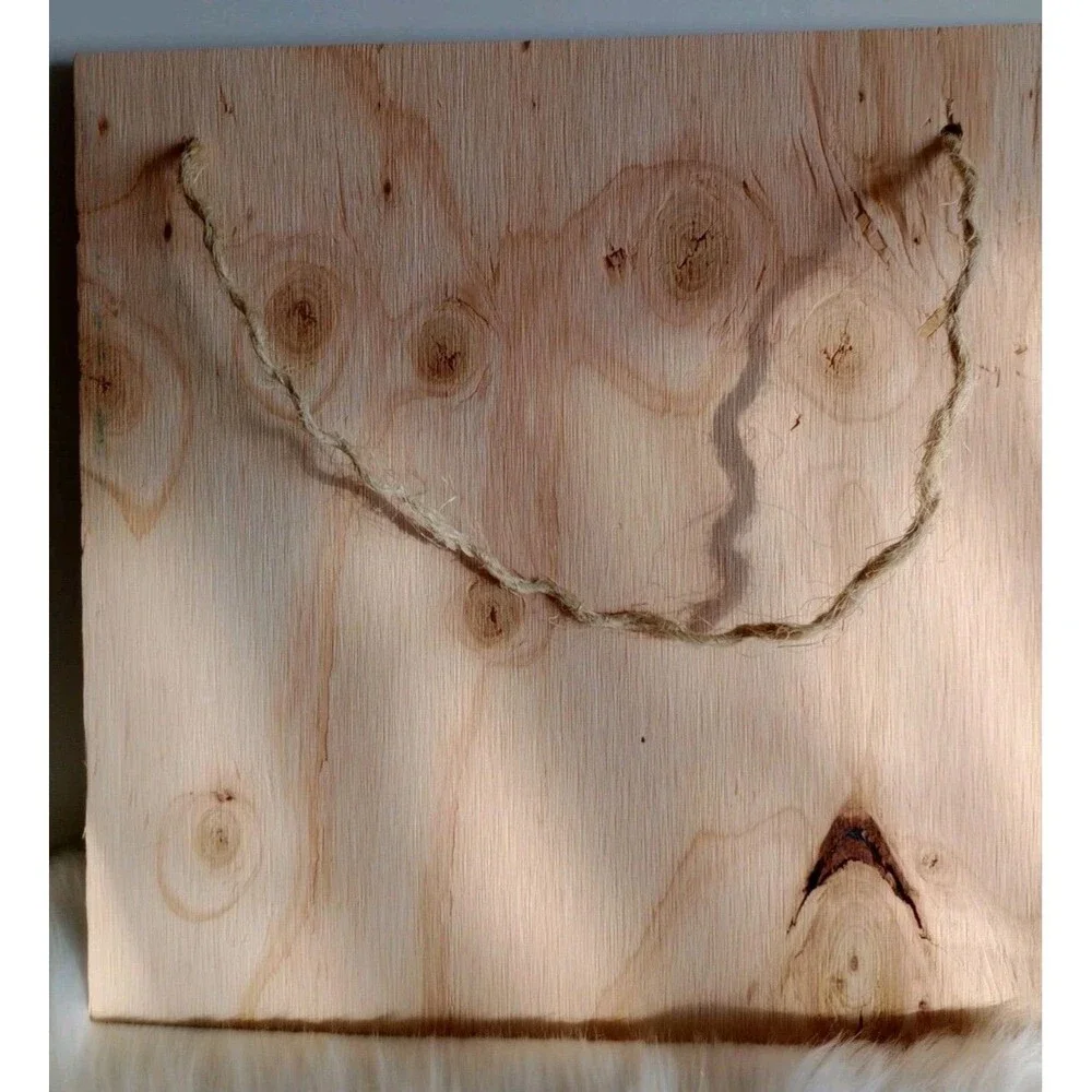 Handmade Pig Home Decor Wood Burnished 12 X 12